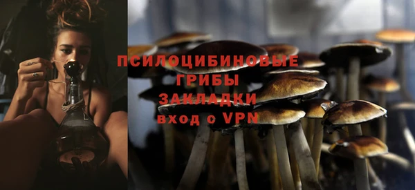 метадон Магас