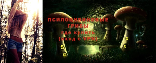 метадон Магас