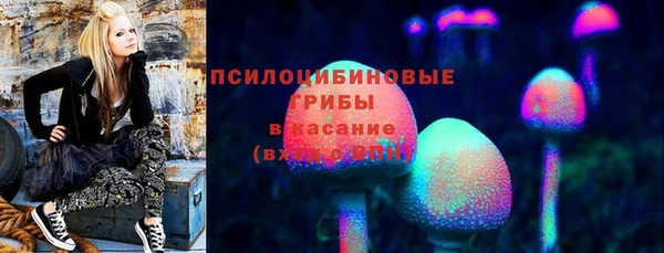 метадон Магас