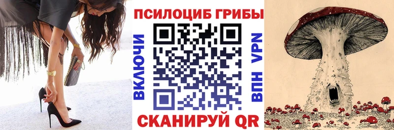 наркошоп  Шлиссельбург  Псилоцибиновые грибы Psilocybine cubensis 